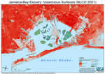 Impervious Surfaces in the Jamaica Bay Estuary